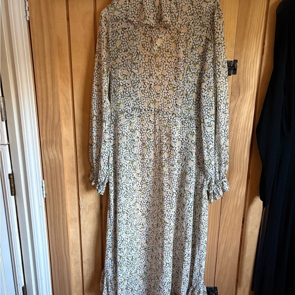 Free People Sheer Floral Ruffle Long Sleeve Maxi